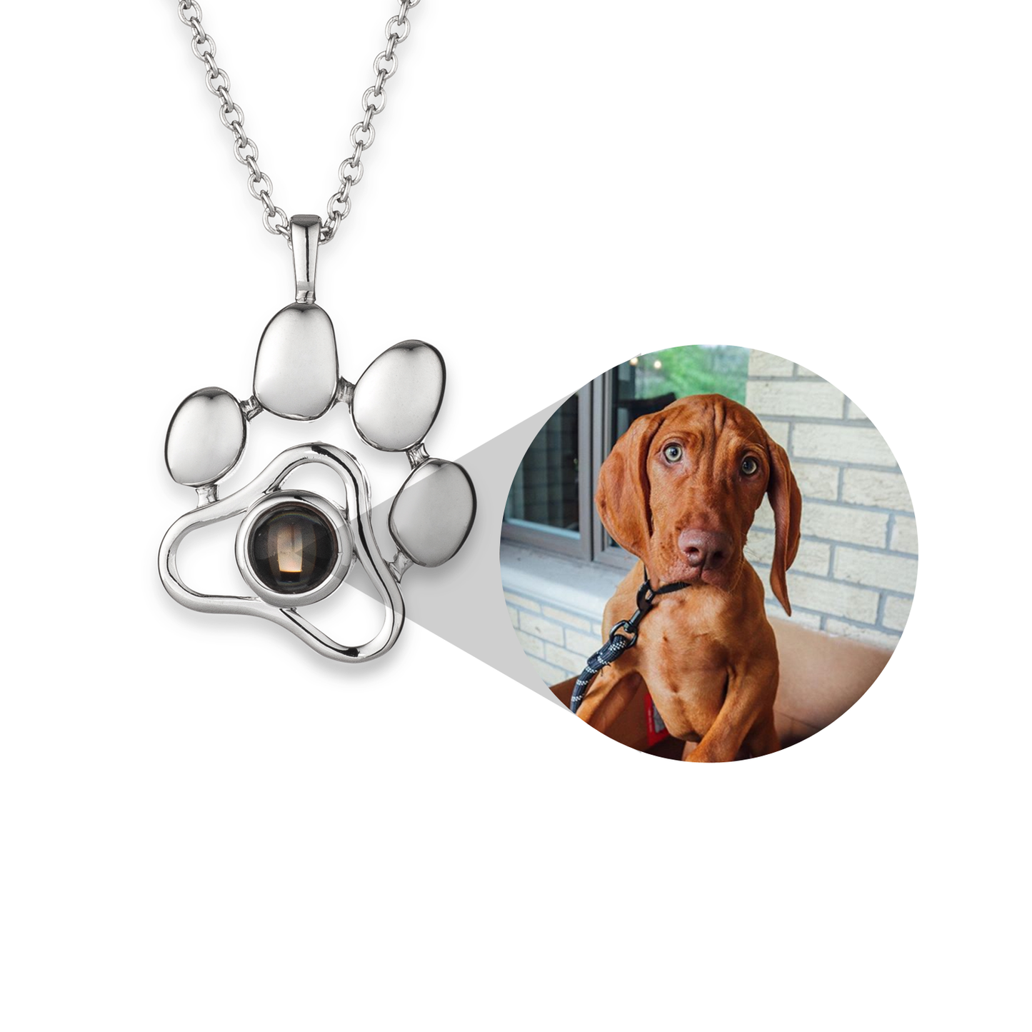 Personalised Pet Photo Necklace