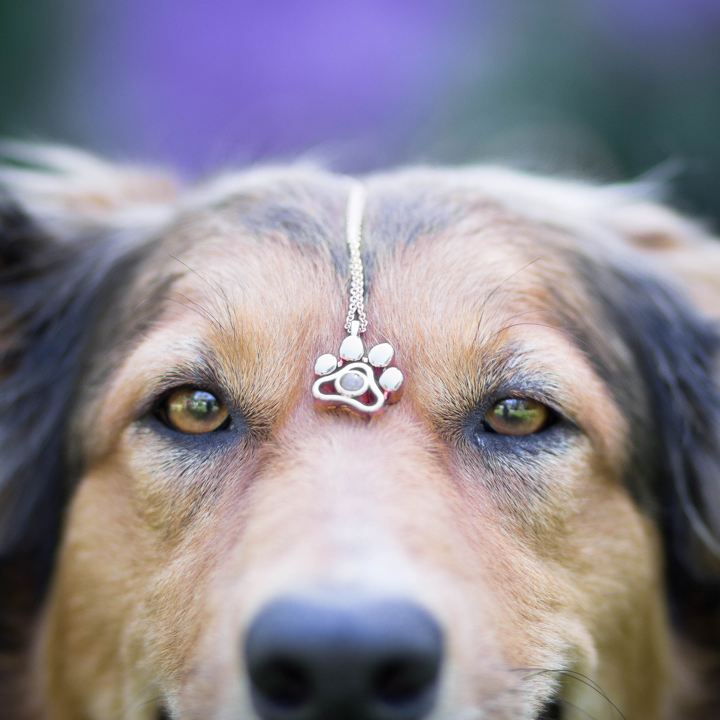 Personalised Pet Photo Necklace